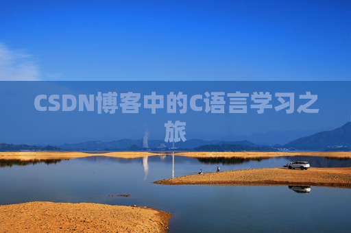 CSDN博客中的C语言学习之旅